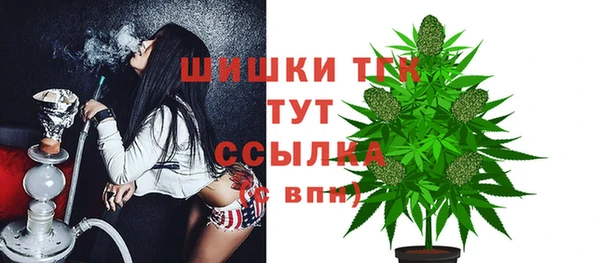 прущие грибы Верхнеуральск